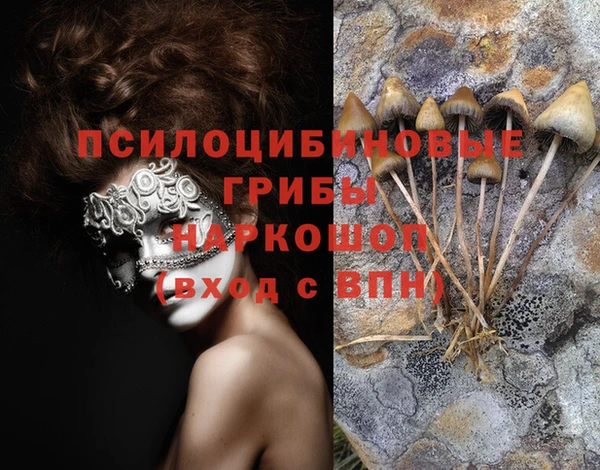 прущий лед Алексеевка