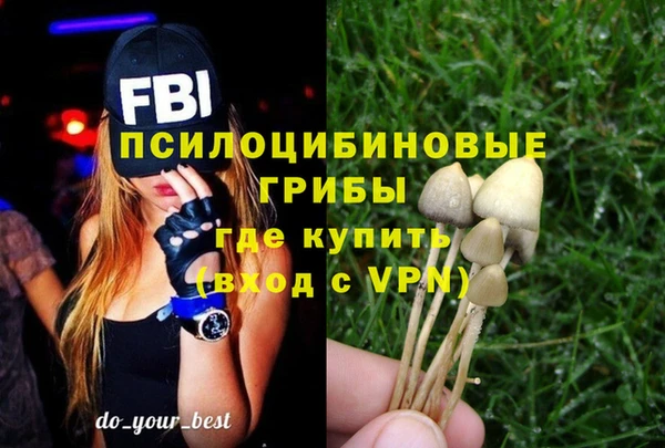 mdpv Алзамай