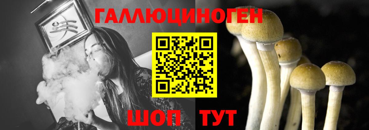 Псилоцибиновые грибы мухоморы Пушкино